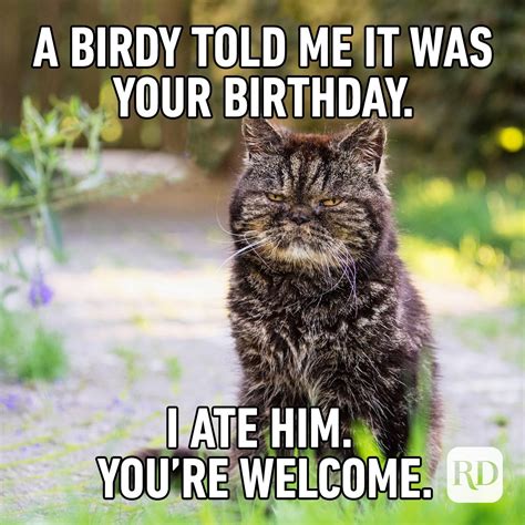 free happy birthday memes for him|hilarious birthday memes for him.